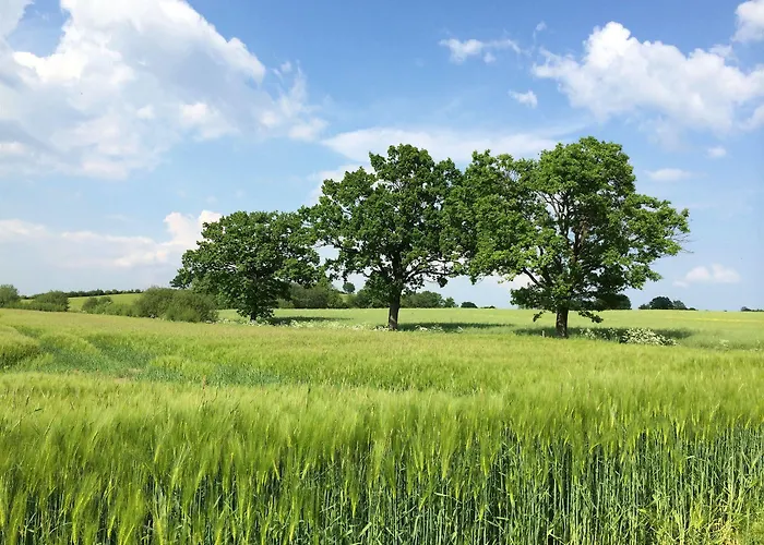 Romantik Seehotel Eichenhain فندق